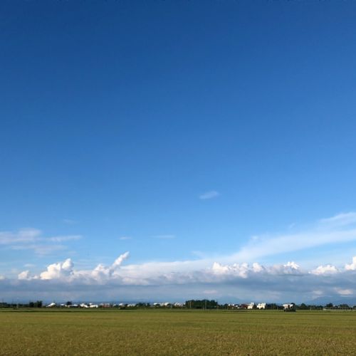 專業嚴選品牌，品質保證